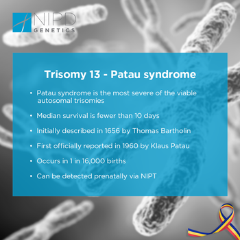 Trisomy 13 – Patau syndrome